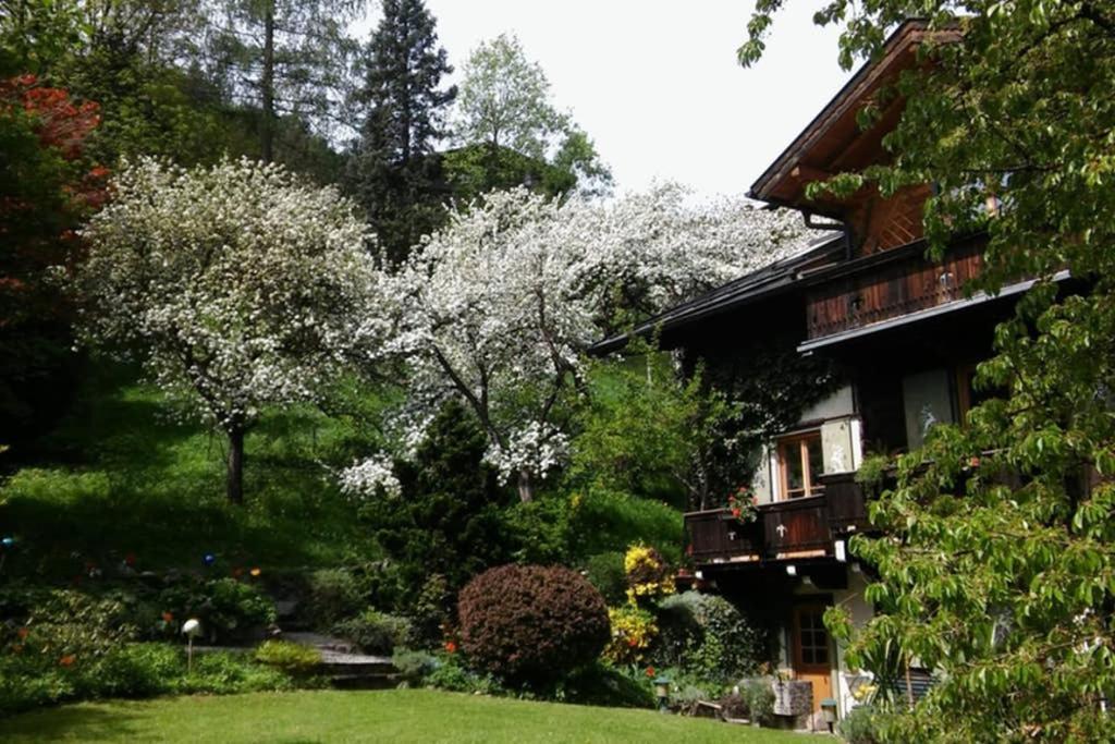 Alpenrelax Haus Weidmannsheil Wohnen Im Romantischen Forsthaus Werfen Bagian luar foto