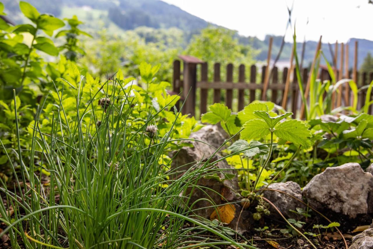 Alpenrelax Haus Weidmannsheil Wohnen Im Romantischen Forsthaus Werfen Bagian luar foto